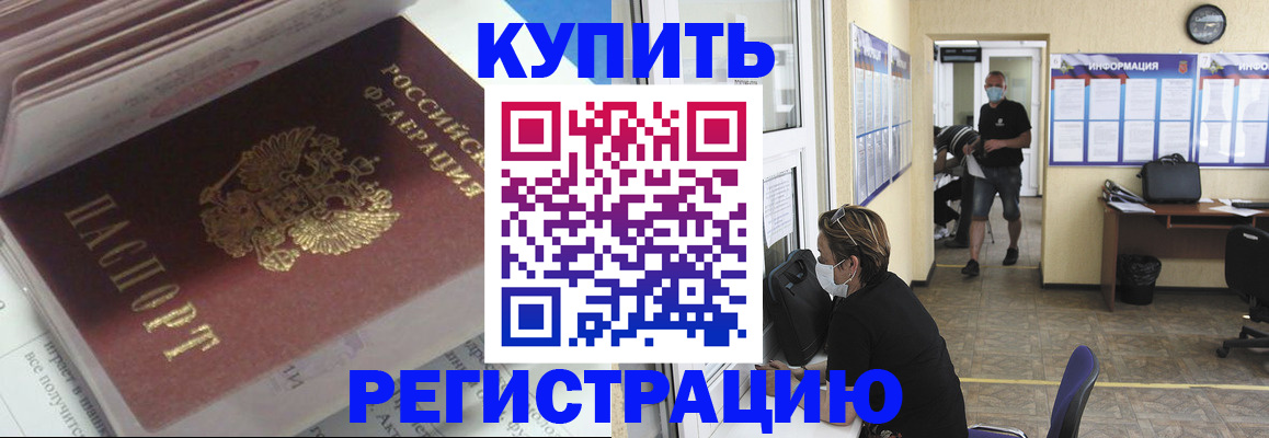 прописка гарантия в Вольске